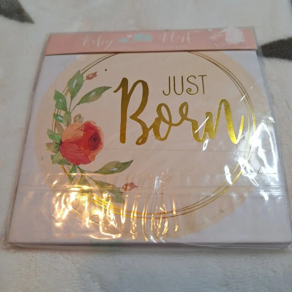 Baby Nest-Baby Monthly Milestone Stickers Set of 15 4